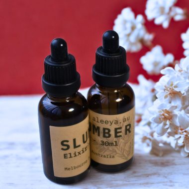 725a0785-83f4-467e-a321-e2dfc69d9966